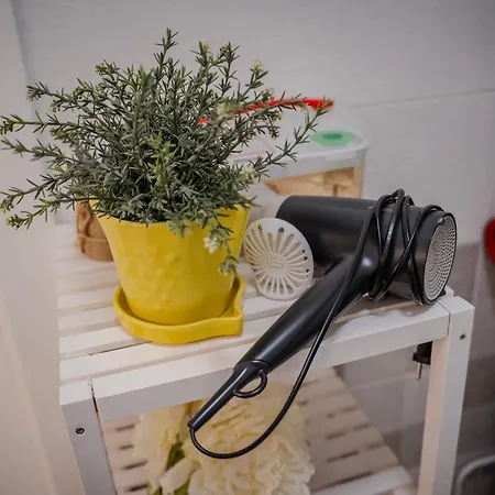 Il Nido Di Domi 公寓 拉奎拉