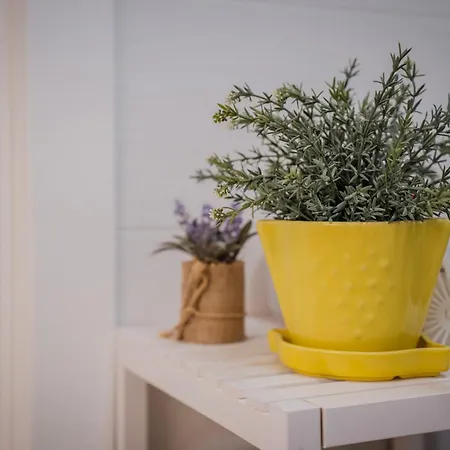 Il Nido Di Domi * 拉奎拉