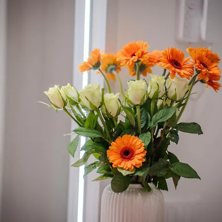 Il Nido Di Domi 公寓