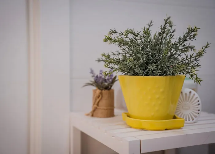 Il Nido Di Domi * LʼAquila