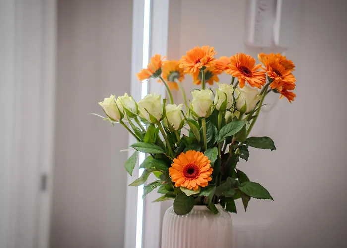 Il Nido Di Domi Appartement